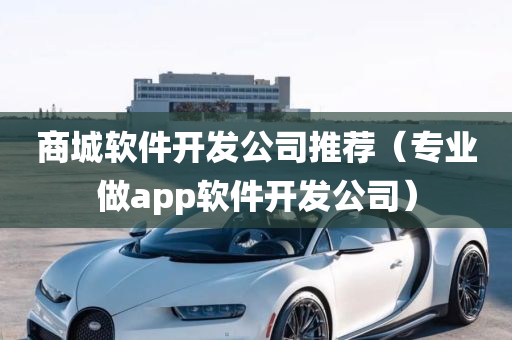 商城软件开发公司推荐（专业做app软件开发公司）