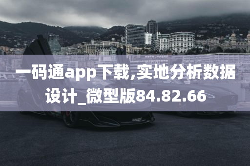 一码通app下载,实地分析数据设计_微型版84.82.66