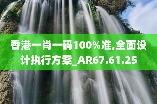 香港一肖一码100%准,全面设计执行方案_AR67.61.25