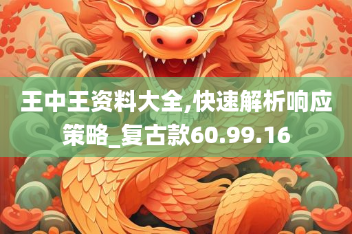 王中王资料大全,快速解析响应策略_复古款60.99.16