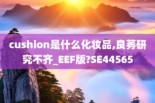 cushion是什么化妆品,良莠研究不齐_EEF版?SE44565