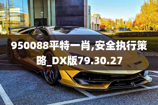 950088平特一肖,安全执行策略_DX版79.30.27