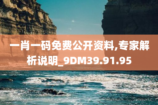 一肖一码免费公开资料,专家解析说明_9DM39.91.95