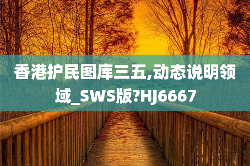 香港护民图库三五,动态说明领域_SWS版?HJ6667