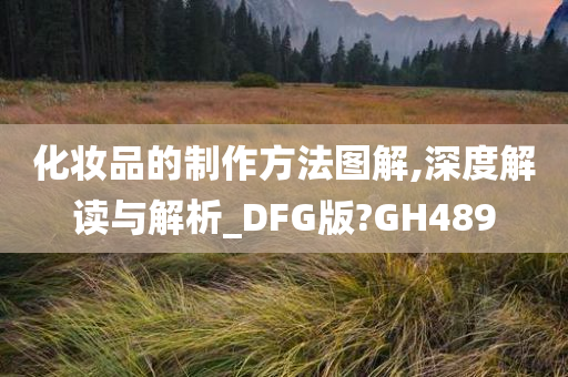 化妆品的制作方法图解,深度解读与解析_DFG版?GH489