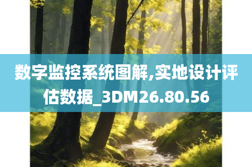 数字监控系统图解,实地设计评估数据_3DM26.80.56