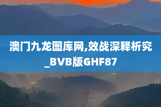 澳门九龙图库网,效战深释析究_BVB版GHF87