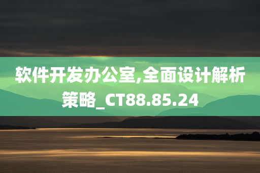 软件开发办公室,全面设计解析策略_CT88.85.24