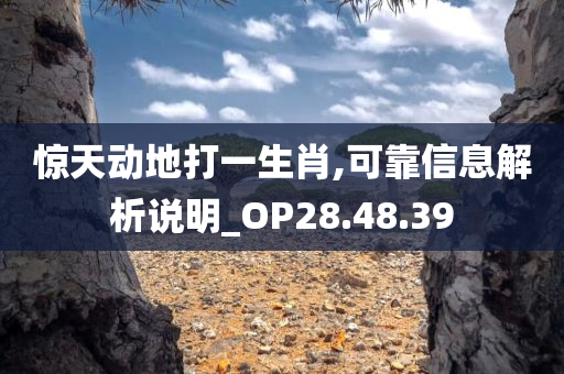 惊天动地打一生肖,可靠信息解析说明_OP28.48.39