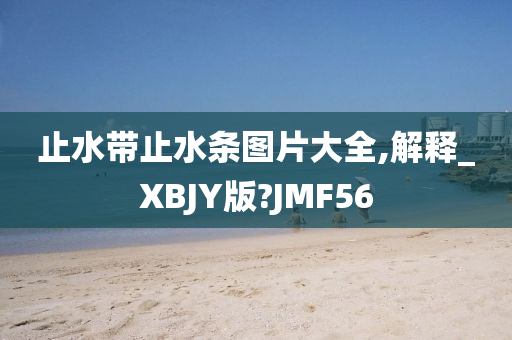 止水带止水条图片大全,解释_XBJY版?JMF56