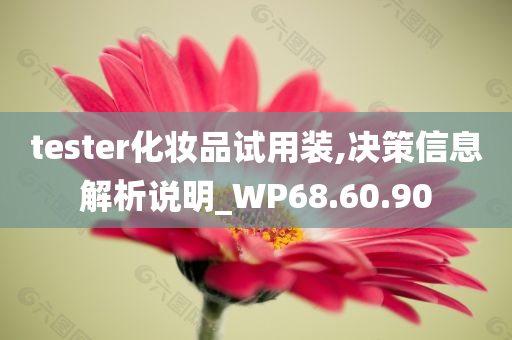 tester化妆品试用装,决策信息解析说明_WP68.60.90