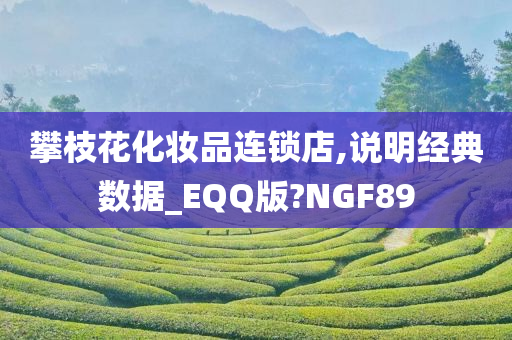 攀枝花化妆品连锁店,说明经典数据_EQQ版?NGF89