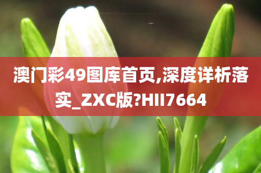 澳门彩49图库首页,深度详析落实_ZXC版?HII7664