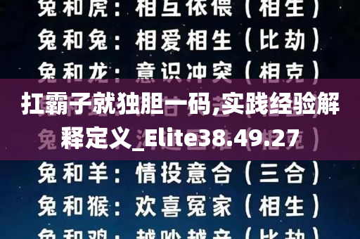 扛霸子就独胆一码,实践经验解释定义_Elite38.49.27