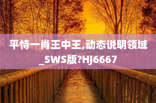 平恃一肖王中王,动态说明领域_SWS版?HJ6667