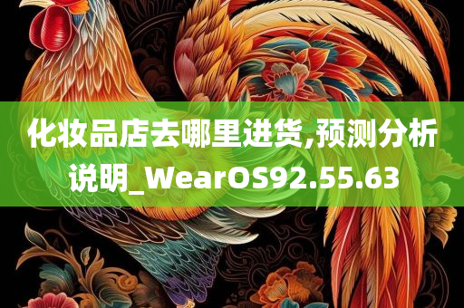 化妆品店去哪里进货,预测分析说明_WearOS92.55.63