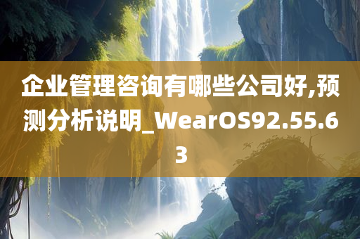 企业管理咨询有哪些公司好,预测分析说明_WearOS92.55.63