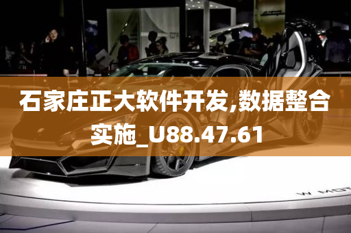 石家庄正大软件开发,数据整合实施_U88.47.61