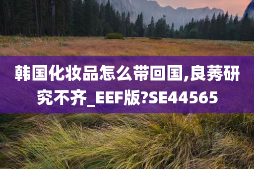 韩国化妆品怎么带回国,良莠研究不齐_EEF版?SE44565