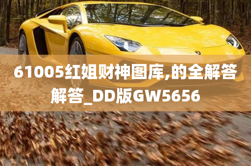 61005红姐财神图库,的全解答解答_DD版GW5656