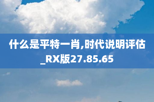 什么是平特一肖,时代说明评估_RX版27.85.65