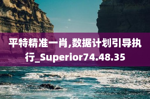 平特精准一肖,数据计划引导执行_Superior74.48.35