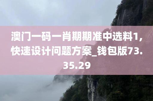 澳门一码一肖期期准中选料1,快速设计问题方案_钱包版73.35.29