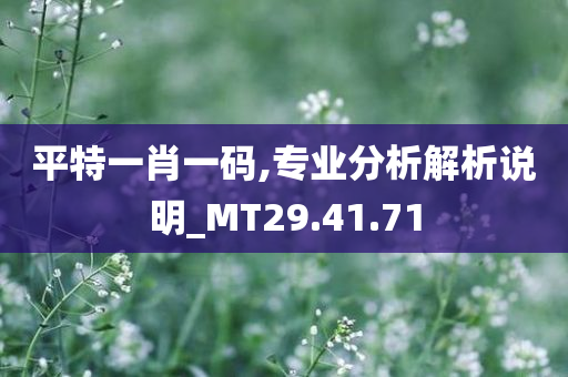 平特一肖一码,专业分析解析说明_MT29.41.71