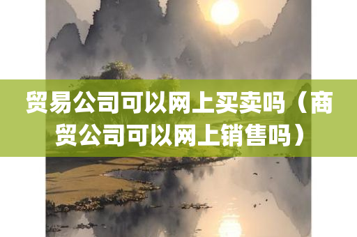 贸易公司可以网上买卖吗（商贸公司可以网上销售吗）