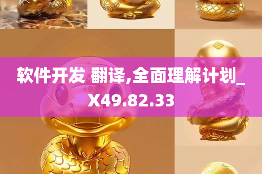 软件开发 翻译,全面理解计划_X49.82.33