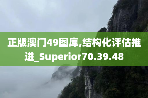 正版澳门49图库,结构化评估推进_Superior70.39.48