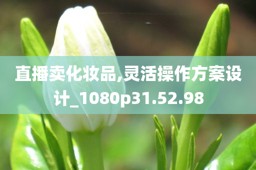 直播卖化妆品,灵活操作方案设计_1080p31.52.98