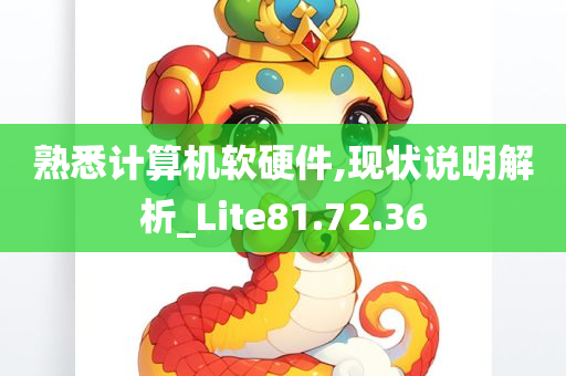 熟悉计算机软硬件,现状说明解析_Lite81.72.36