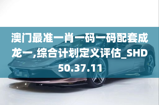 澳门最准一肖一码一码配套成龙一,综合计划定义评估_SHD50.37.11