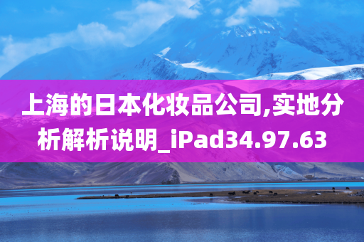 上海的日本化妆品公司,实地分析解析说明_iPad34.97.63