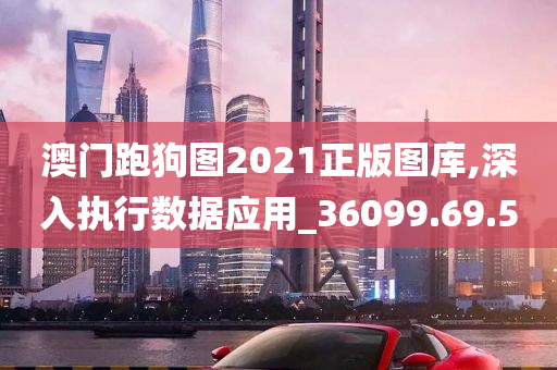 澳门跑狗图2021正版图库,深入执行数据应用_36099.69.50