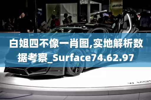 白姐四不像一肖图,实地解析数据考察_Surface74.62.97