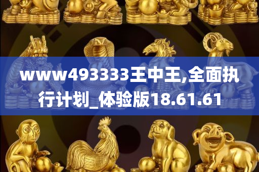 www493333王中王,全面执行计划_体验版18.61.61