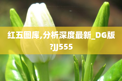 红五图库,分析深度最新_DG版?JJ555