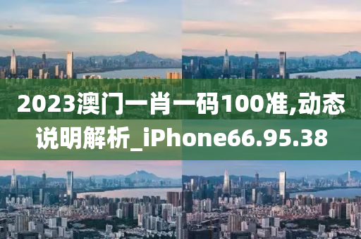 2023澳门一肖一码100准,动态说明解析_iPhone66.95.38