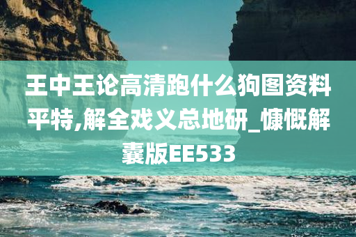 王中王论高清跑什么狗图资料平特,解全戏义总地研_慷慨解囊版EE533