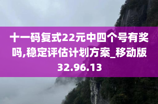 十一码复式22元中四个号有奖吗,稳定评估计划方案_移动版32.96.13