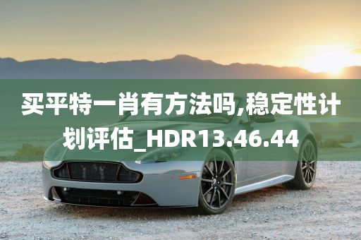 买平特一肖有方法吗,稳定性计划评估_HDR13.46.44