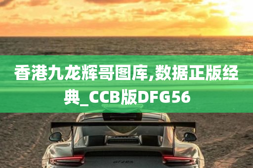 香港九龙辉哥图库,数据正版经典_CCB版DFG56