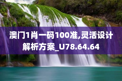 澳门1肖一码100准,灵活设计解析方案_U78.64.64