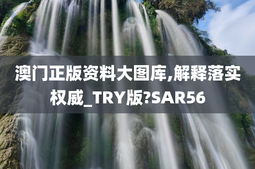 澳门正版资料大图库,解释落实权威_TRY版?SAR56