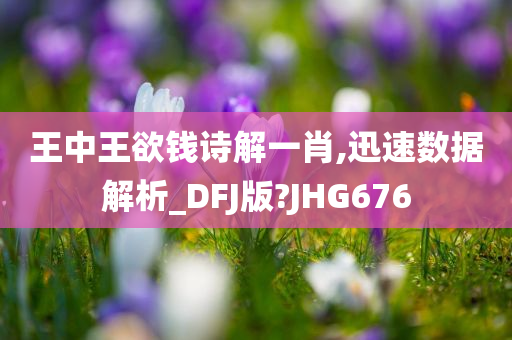 王中王欲钱诗解一肖,迅速数据解析_DFJ版?JHG676