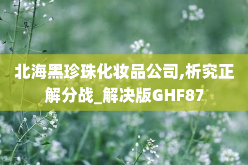 北海黑珍珠化妆品公司,析究正解分战_解决版GHF87