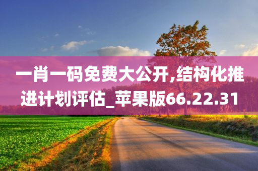 一肖一码免费大公开,结构化推进计划评估_苹果版66.22.31