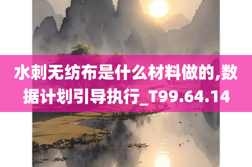 水刺无纺布是什么材料做的,数据计划引导执行_T99.64.14